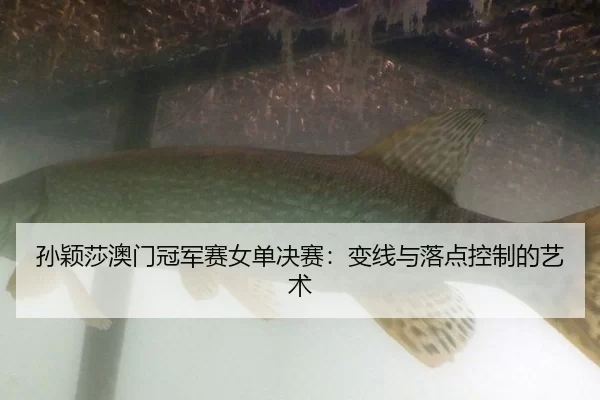 孙颖莎澳门冠军赛女单决赛：变线与落点控制的艺术
