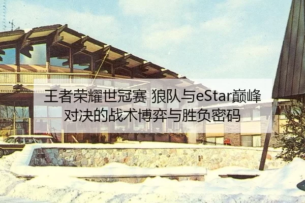 wang-zhe-rong-yao-shi-guan-sai-lang-dui-yu-dian-feng-dui-jue-de-zhan-shu-bo-yi-yu-sheng-fu-mi-ma-3-452.jpg