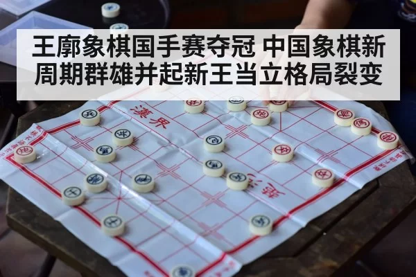 王廓象棋国手赛夺冠 中国象棋新周期群雄并起新王当立格局裂变